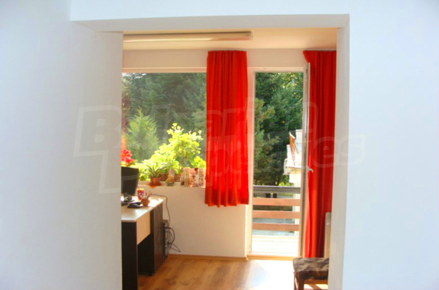 Gallery Picture 19