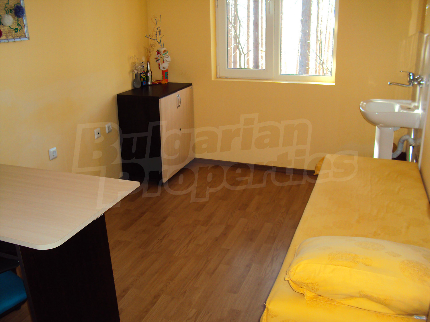 Gallery Picture 33
