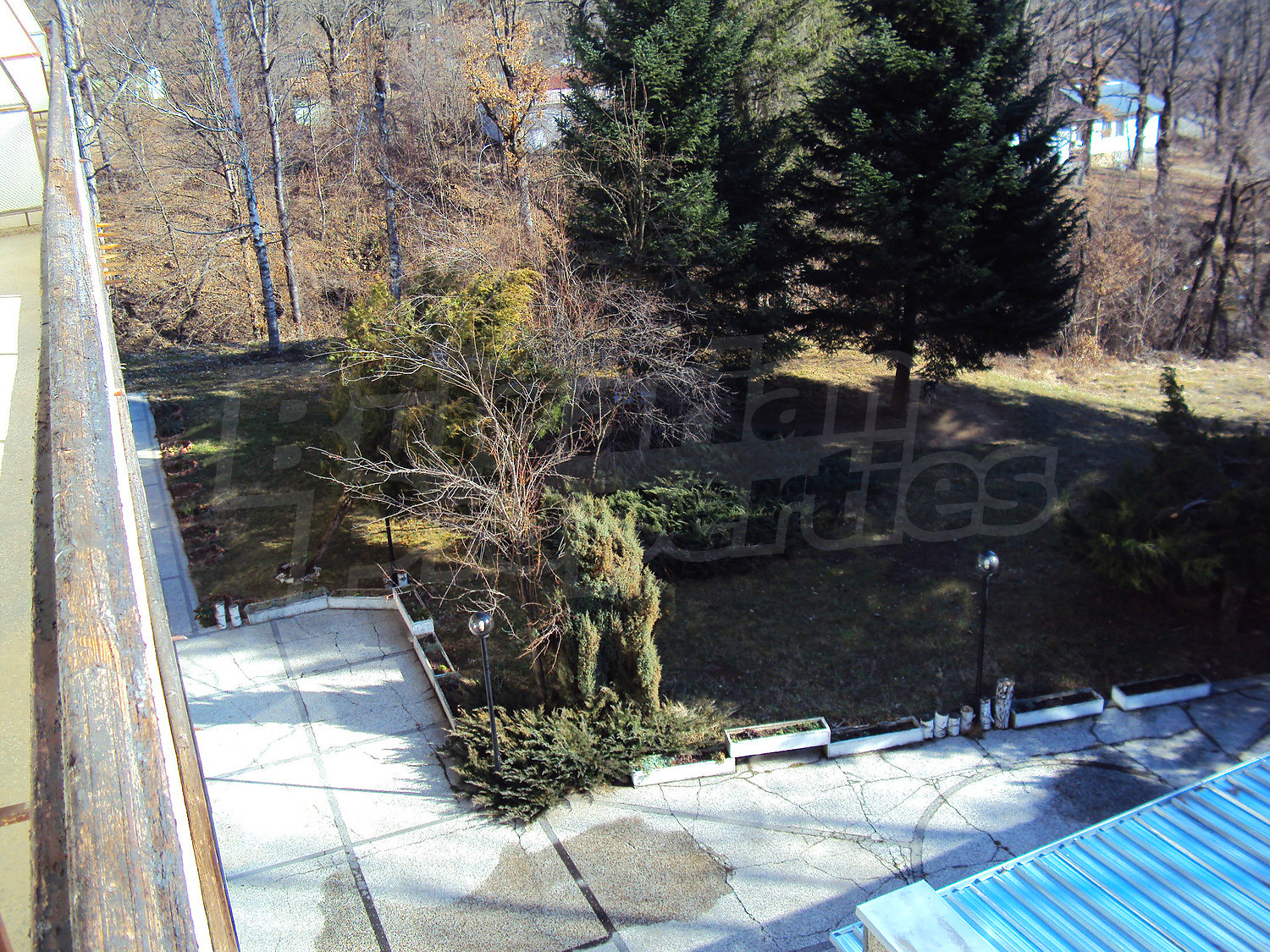 Gallery Picture 55