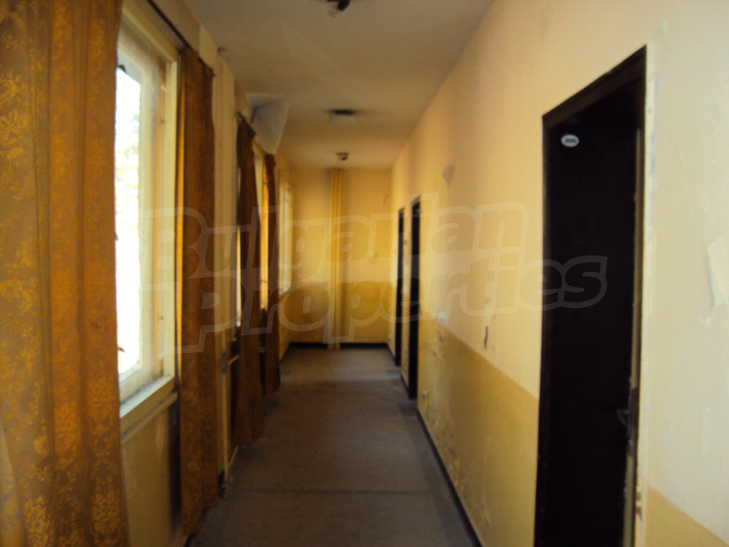 Gallery Picture 56
