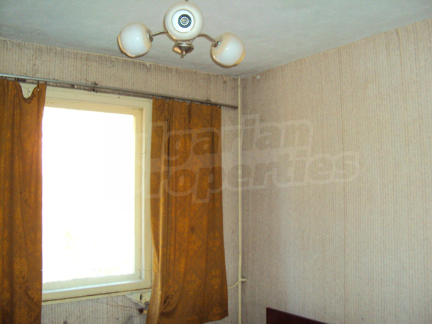 Gallery Picture 57