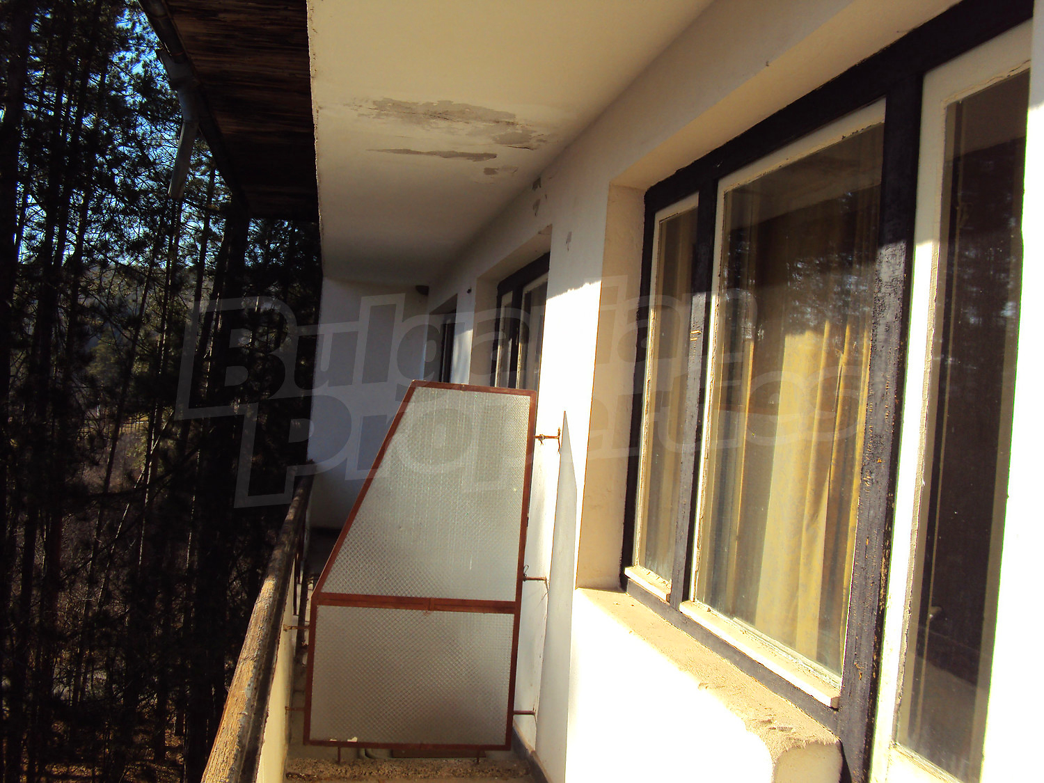 Gallery Picture 58