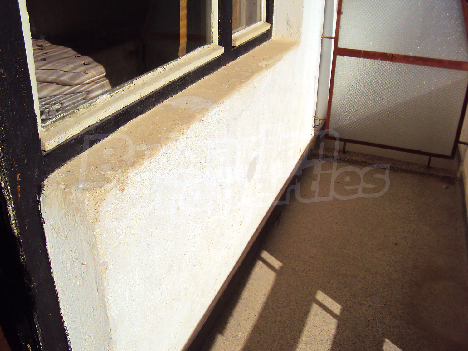 Gallery Picture 60