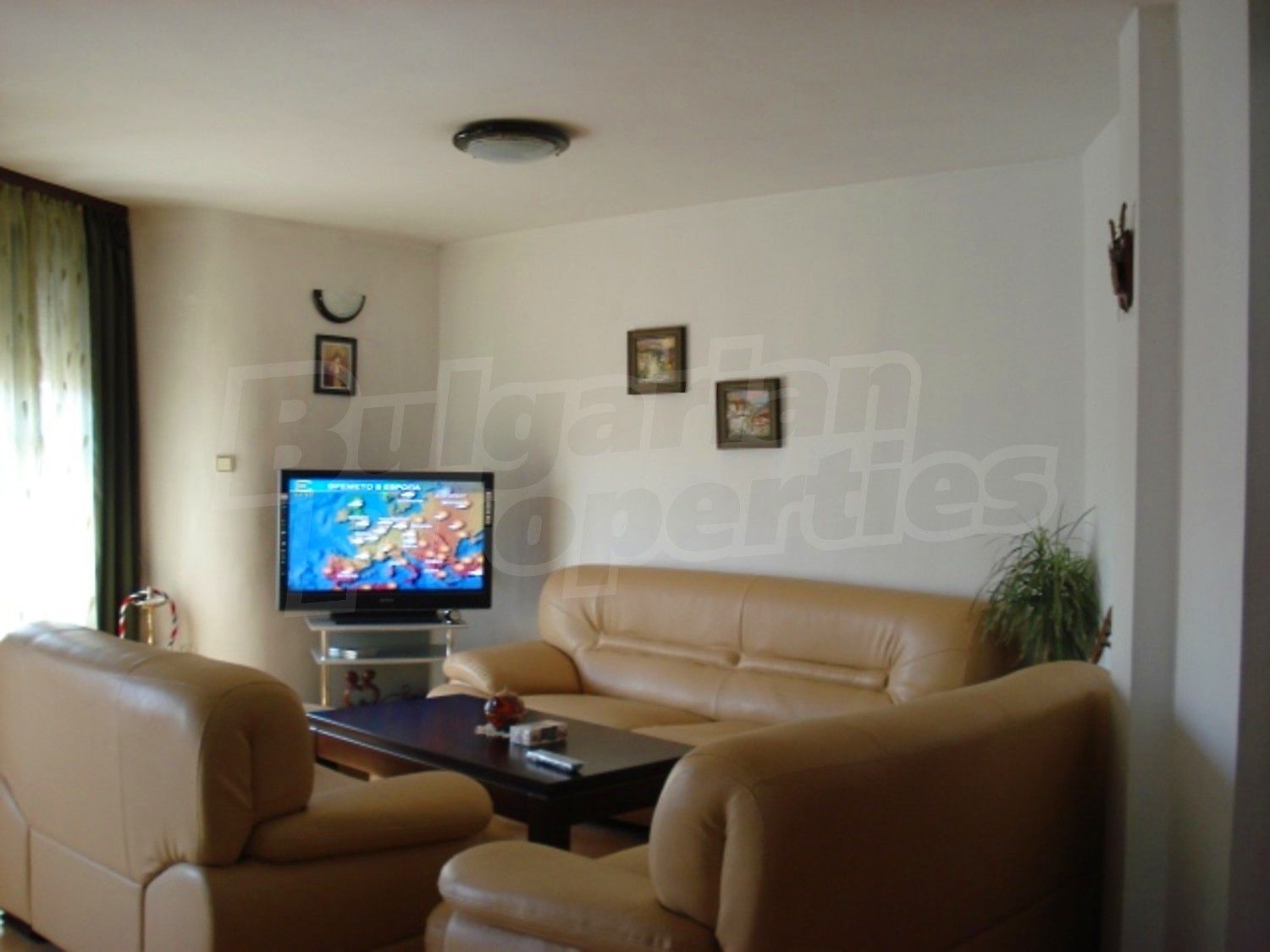 Gallery Picture 5