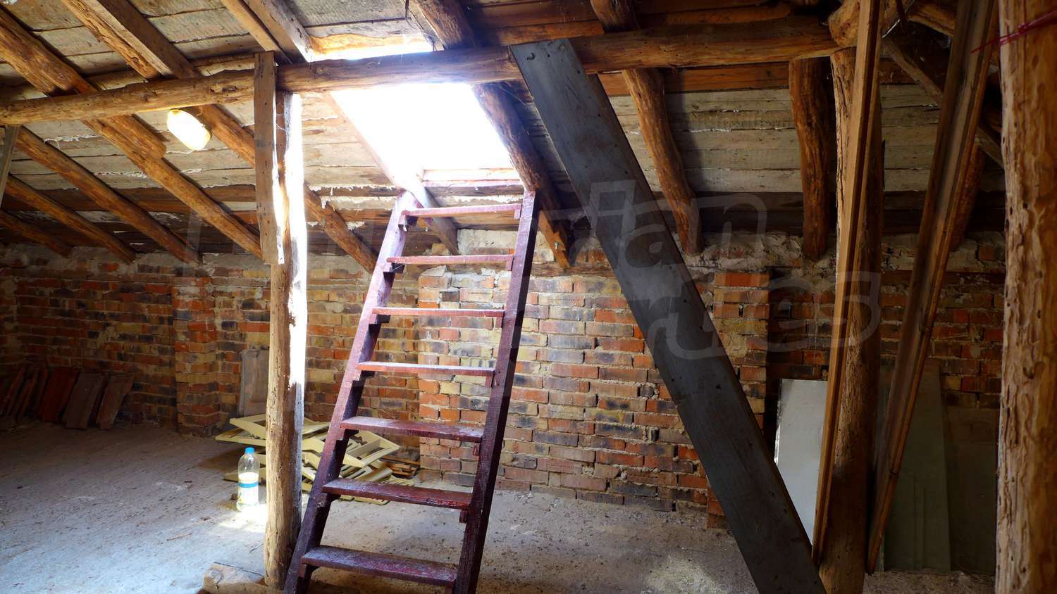 Gallery Picture 43