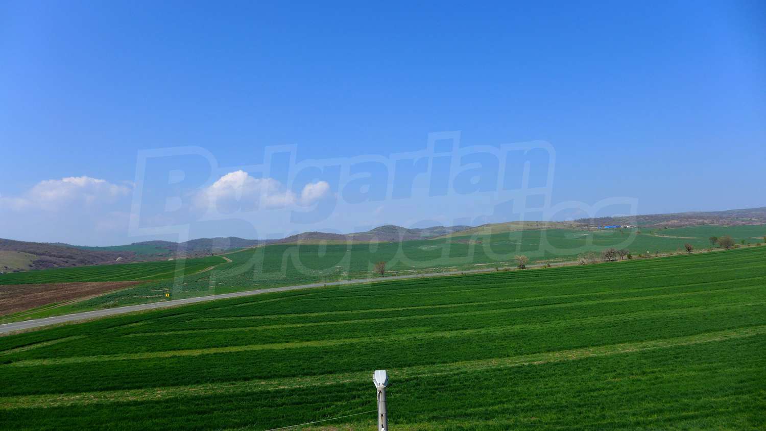 Gallery Picture 48