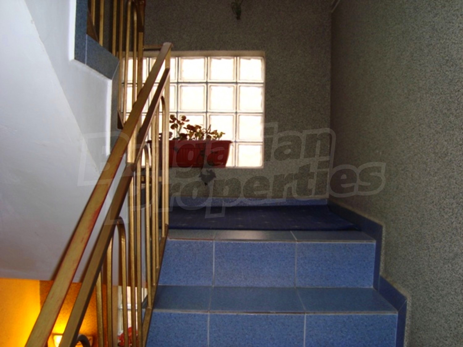 Gallery Picture 13