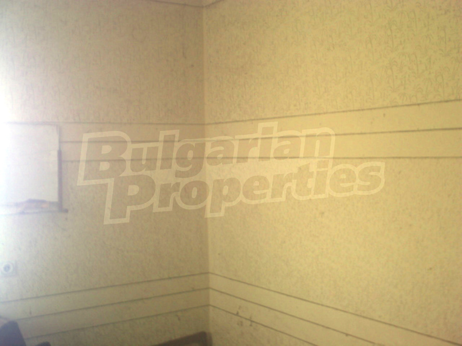 Gallery Picture 6