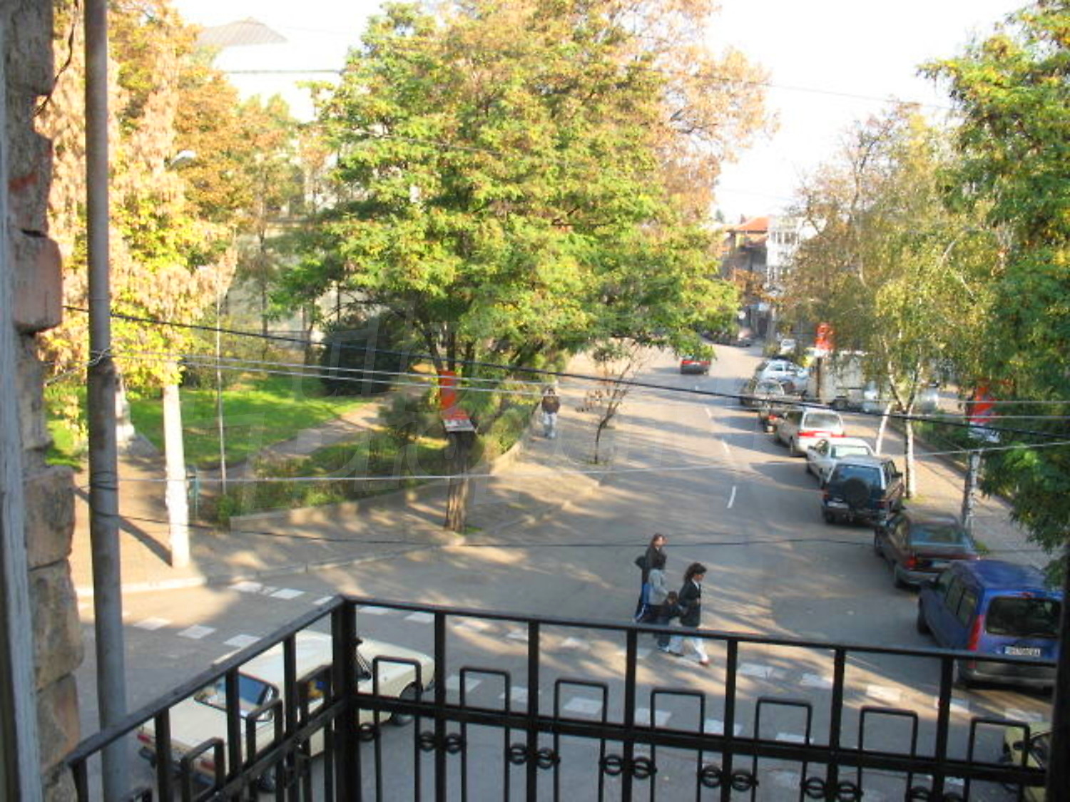 Gallery Picture 10