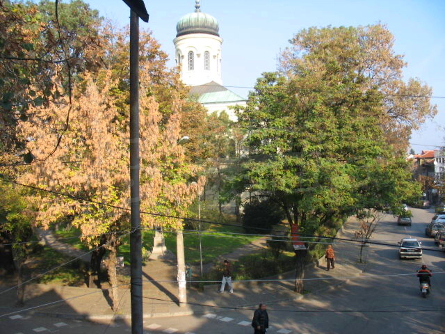 Gallery Picture 11