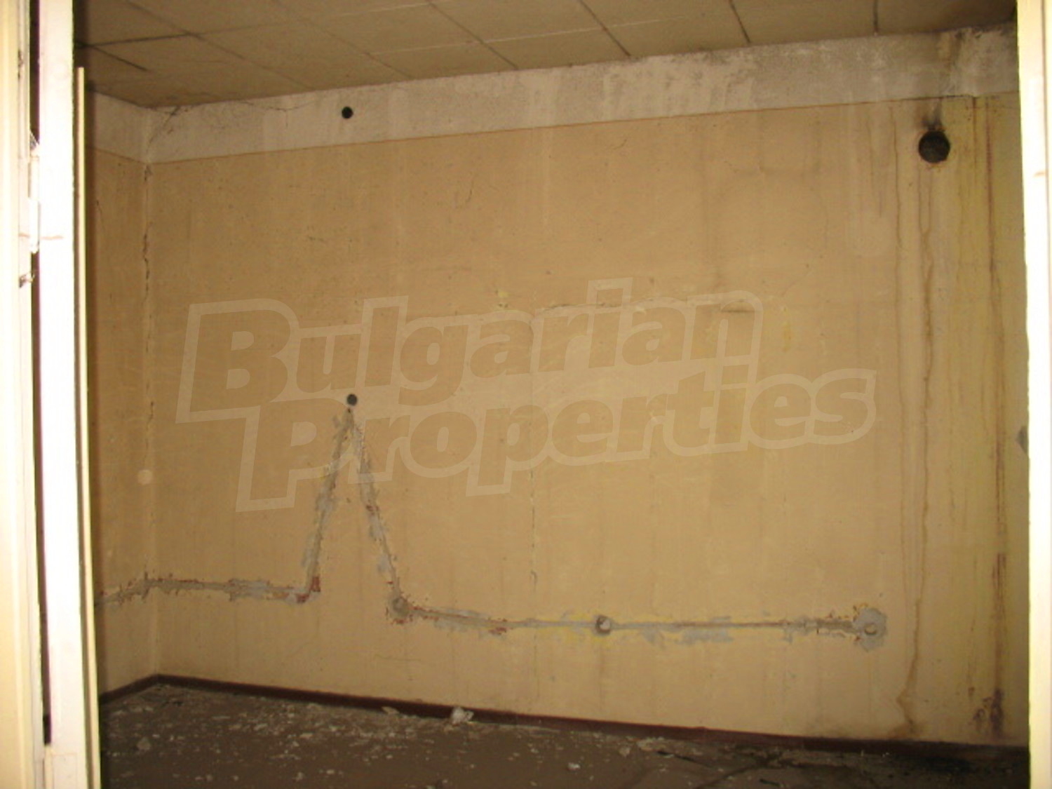 Gallery Picture 7