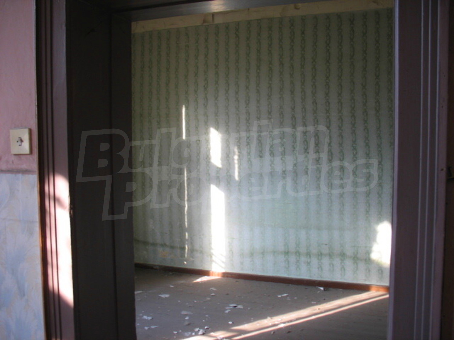 Gallery Picture 8