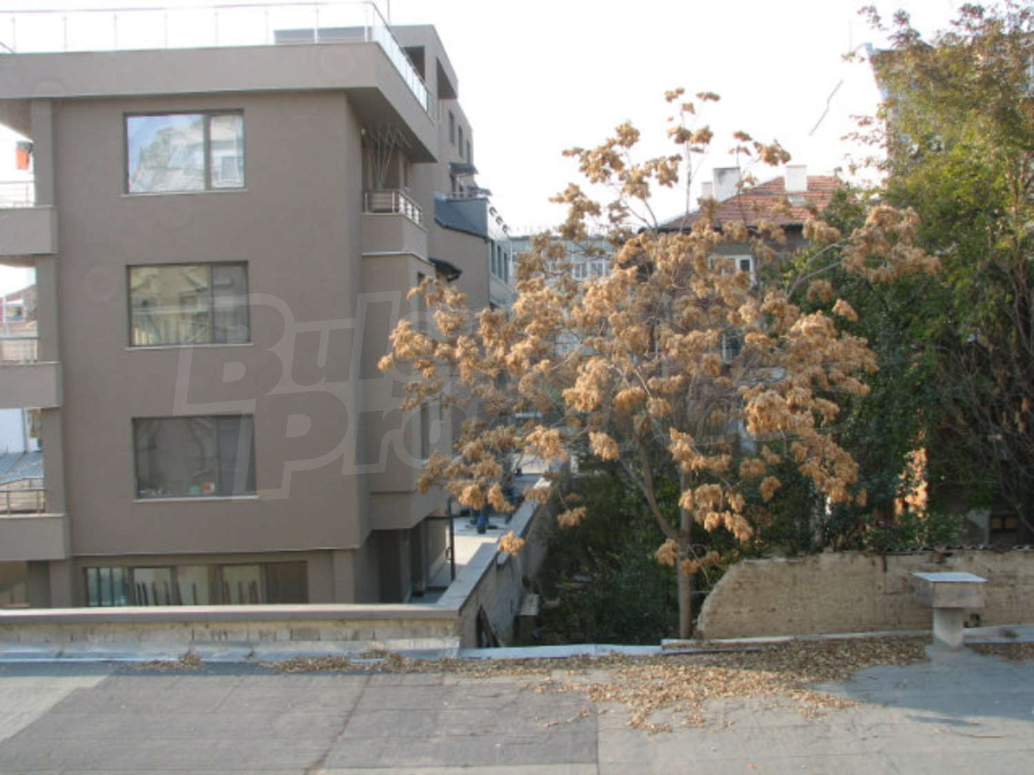 Gallery Picture 28
