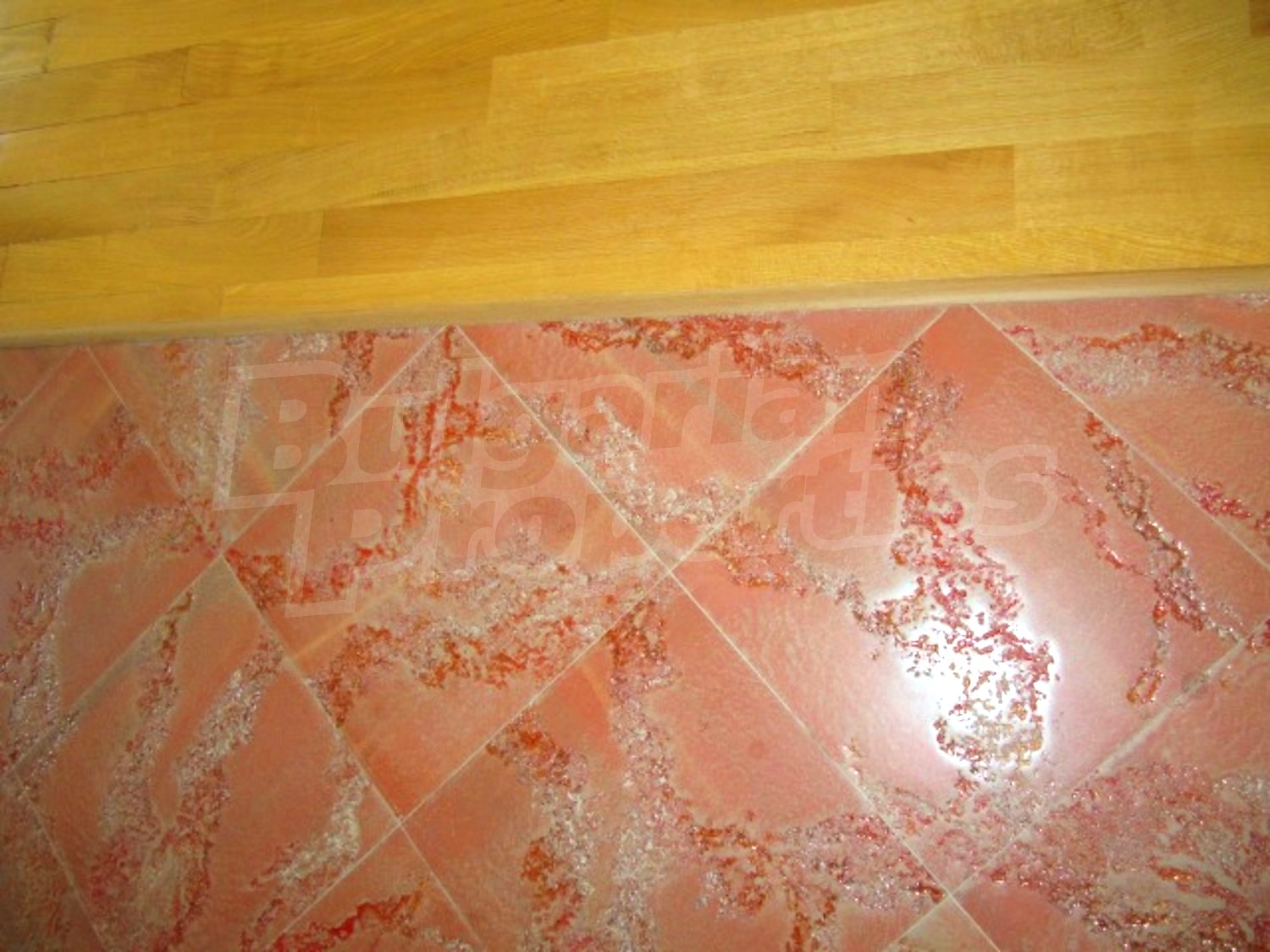 Gallery Picture 23