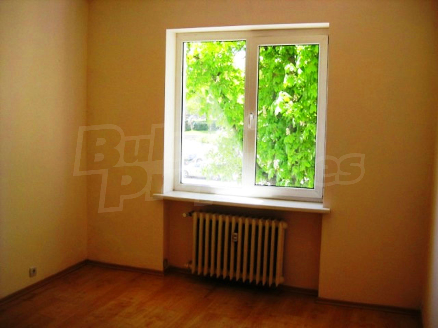 Gallery Picture 11