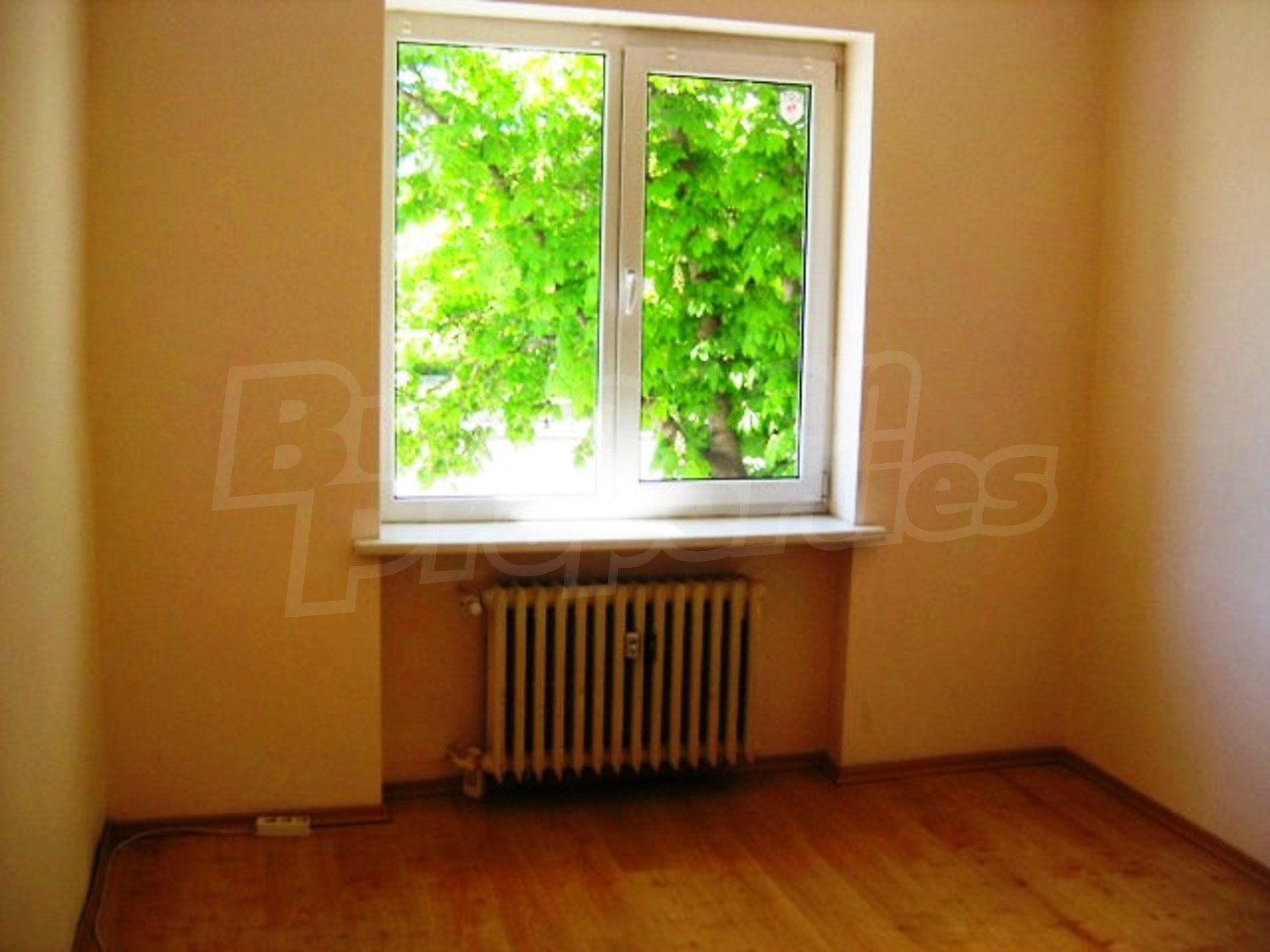 Gallery Picture 14