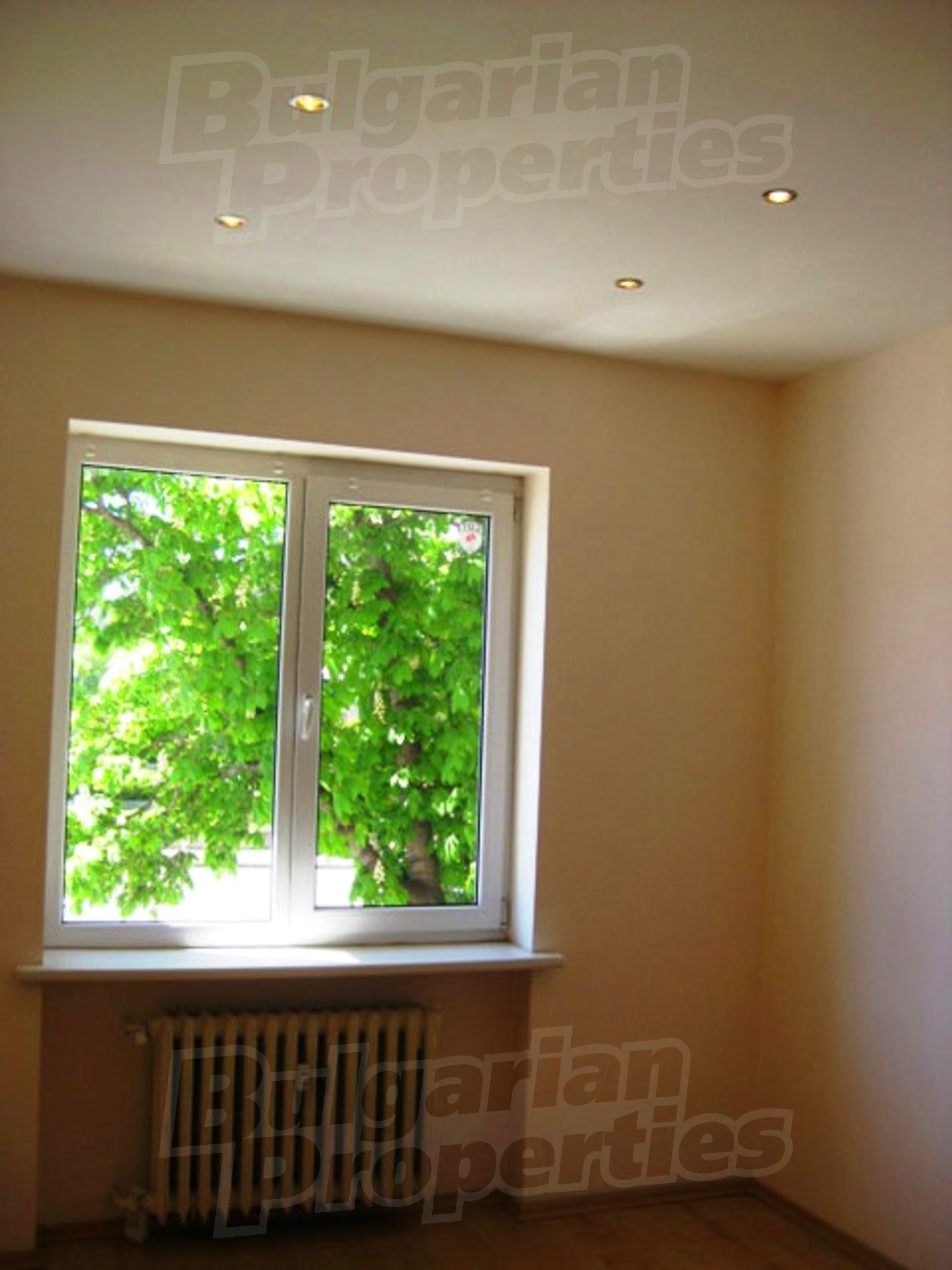Gallery Picture 15