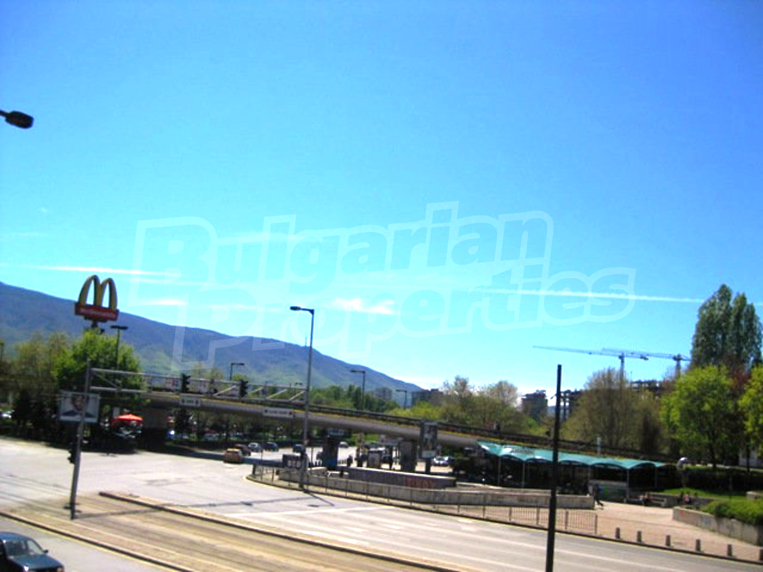 Gallery Picture 19