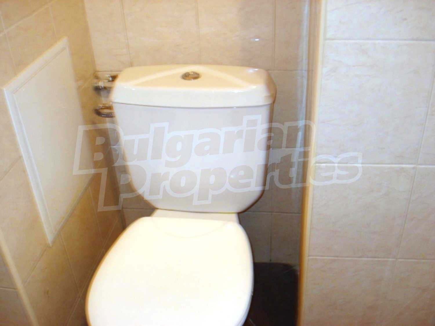 Gallery Picture 26