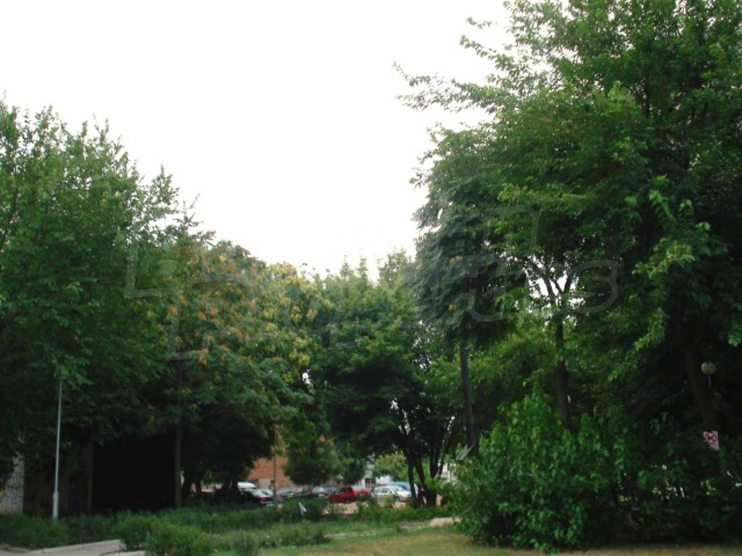 Gallery Picture 30