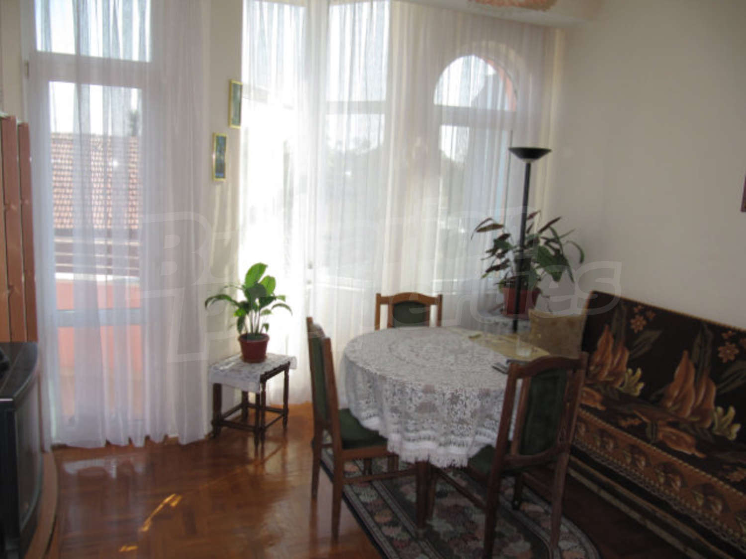 Gallery Picture 14