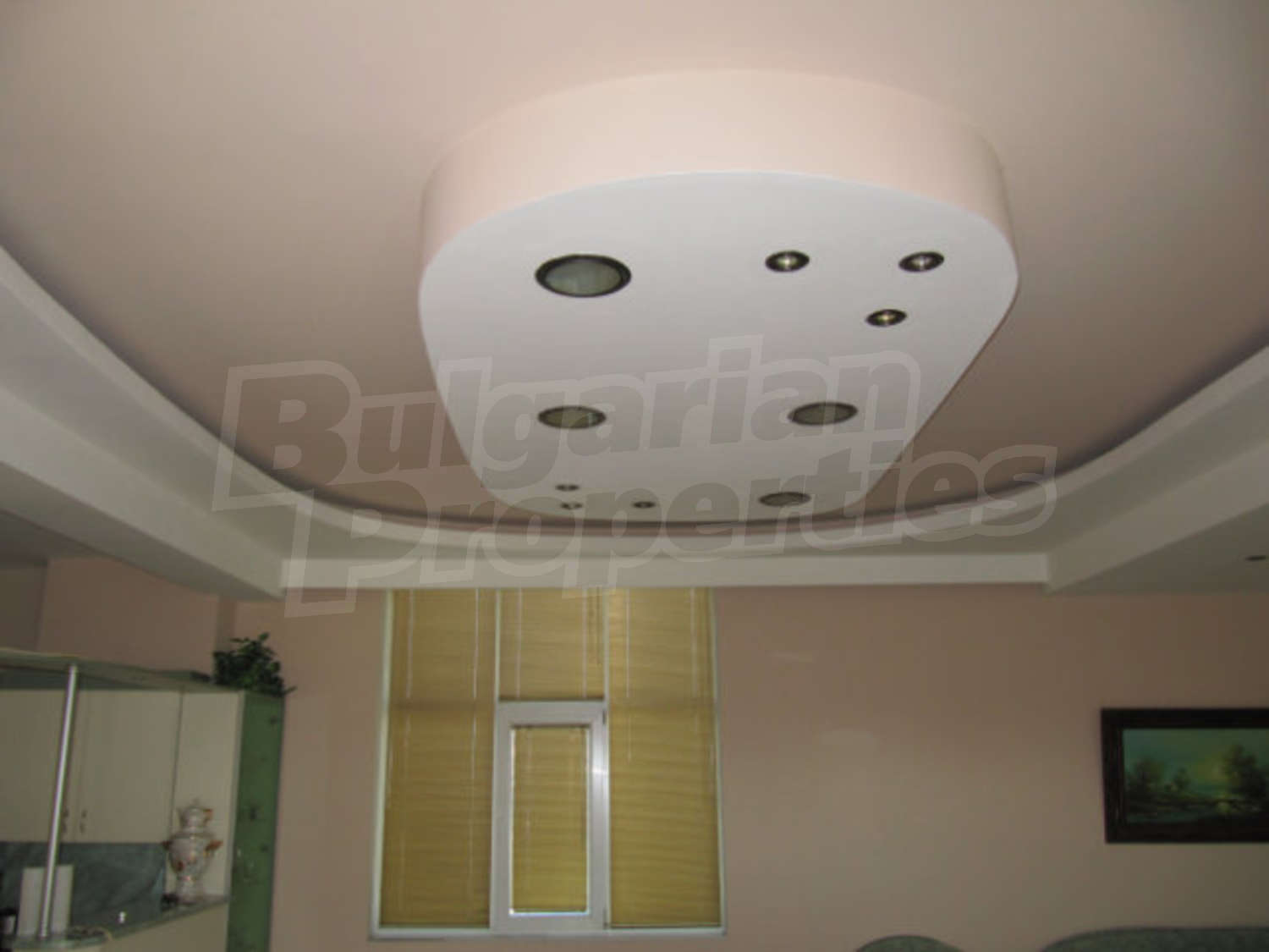 Gallery Picture 24