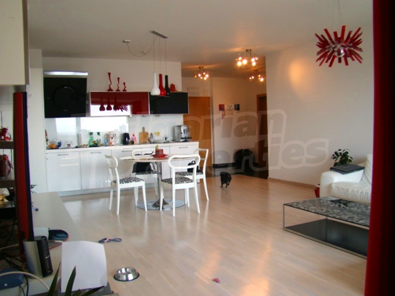 Gallery Picture 14
