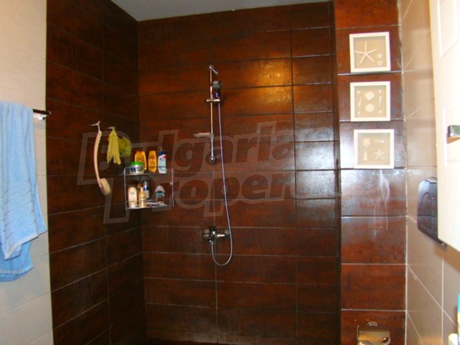 Gallery Picture 25