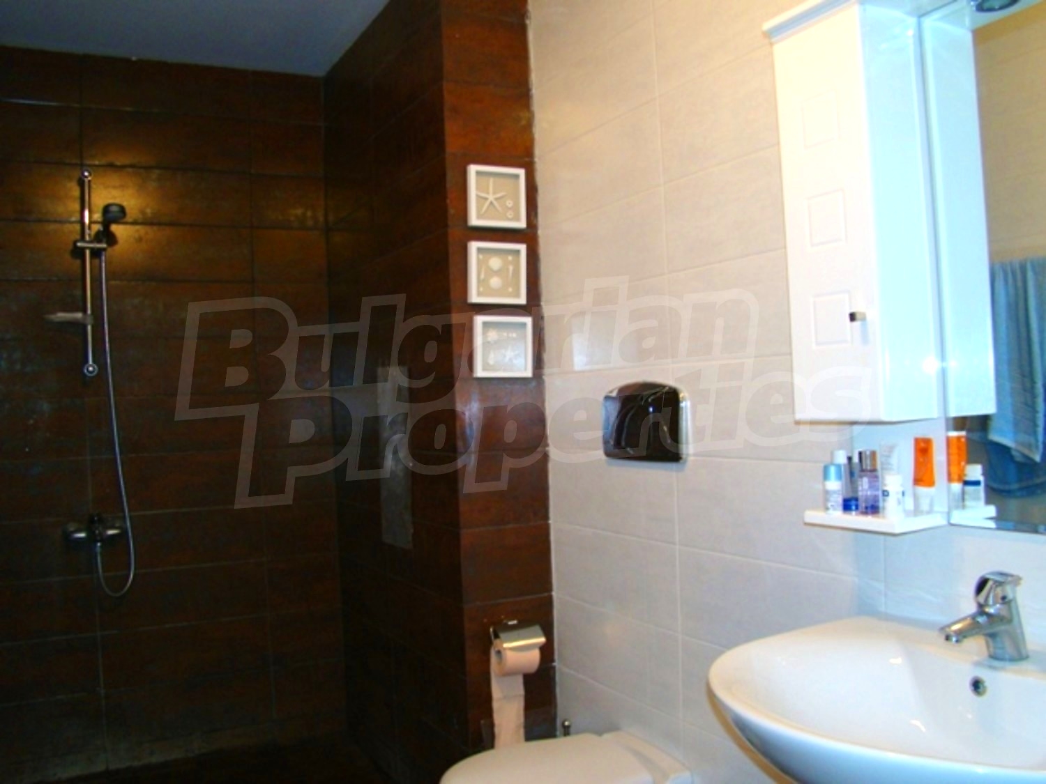 Gallery Picture 26