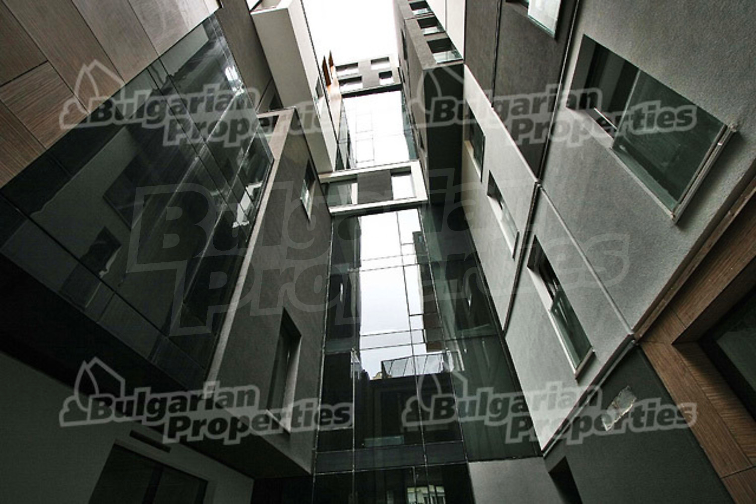 Gallery Picture 6