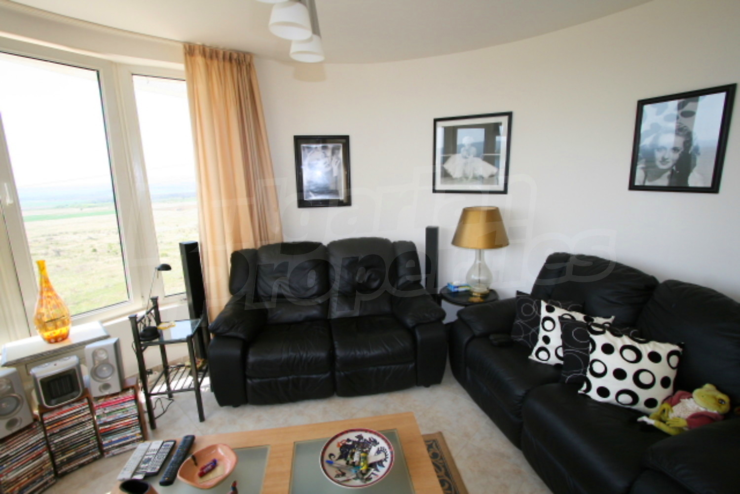 Gallery Picture 13