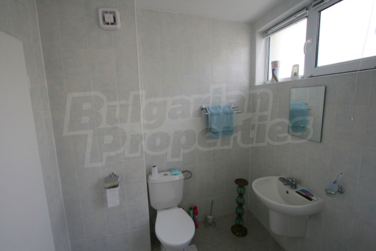 Gallery Picture 23