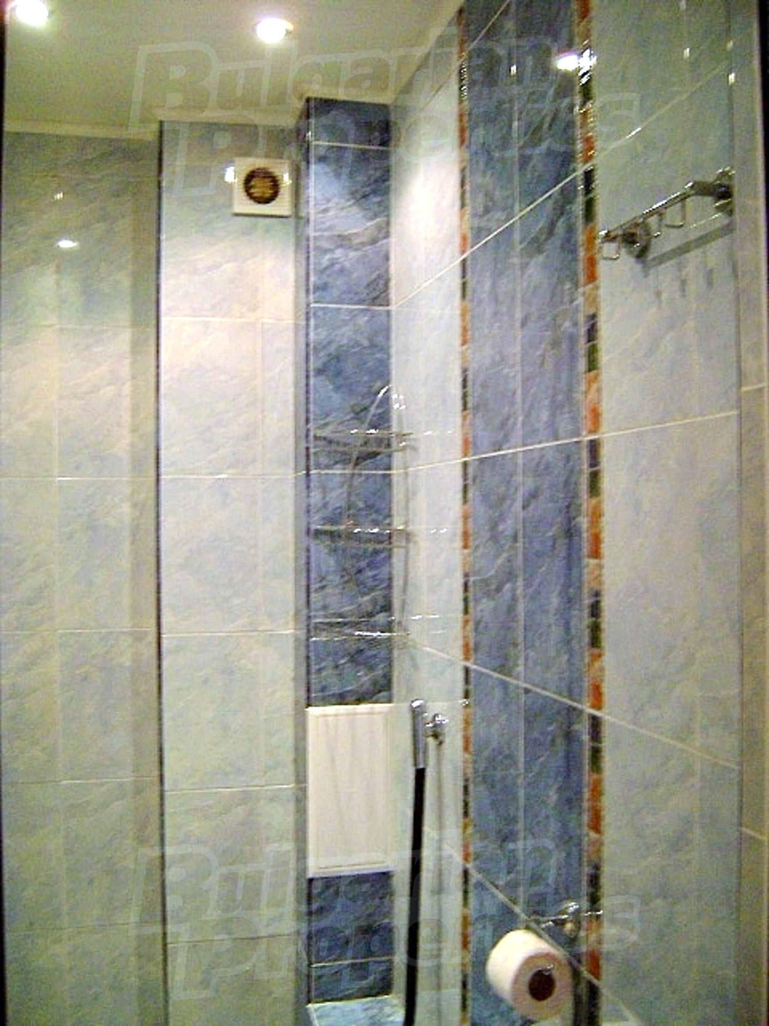 Gallery Picture 10