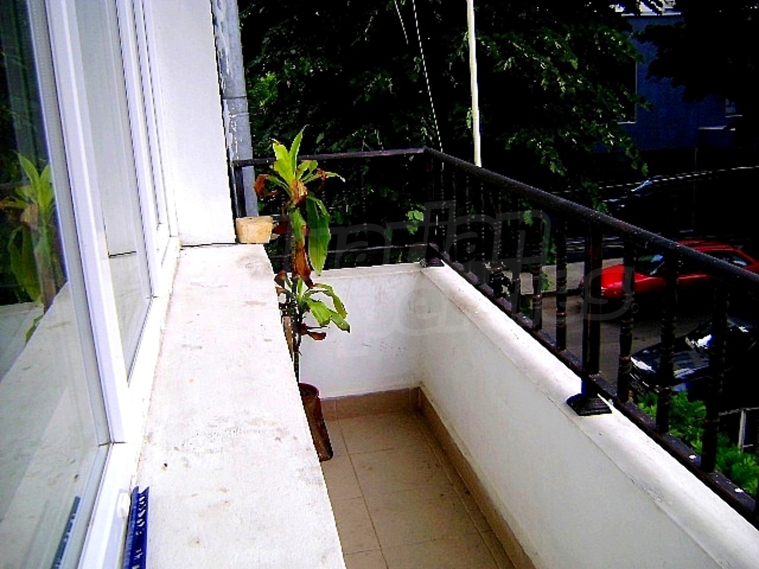 Gallery Picture 11