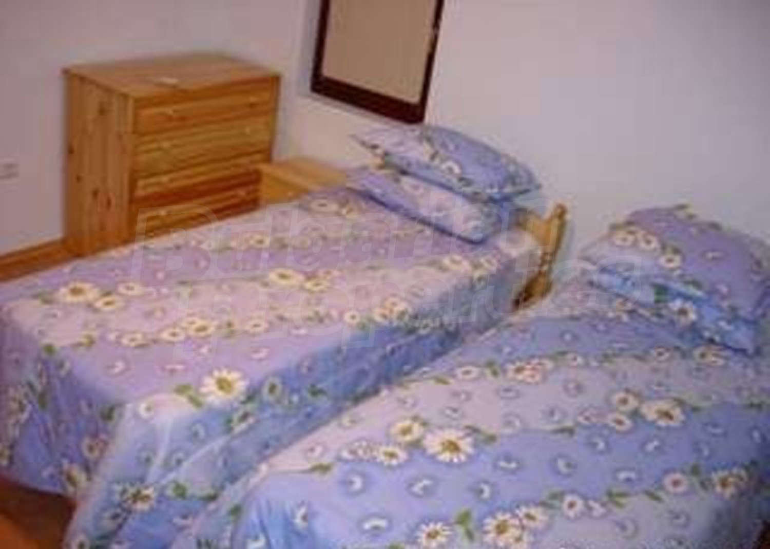 Gallery Picture 8