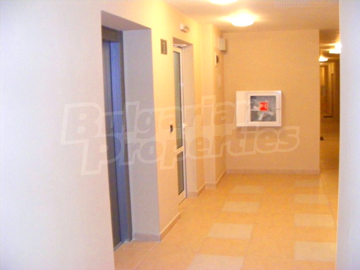 Gallery Picture 11