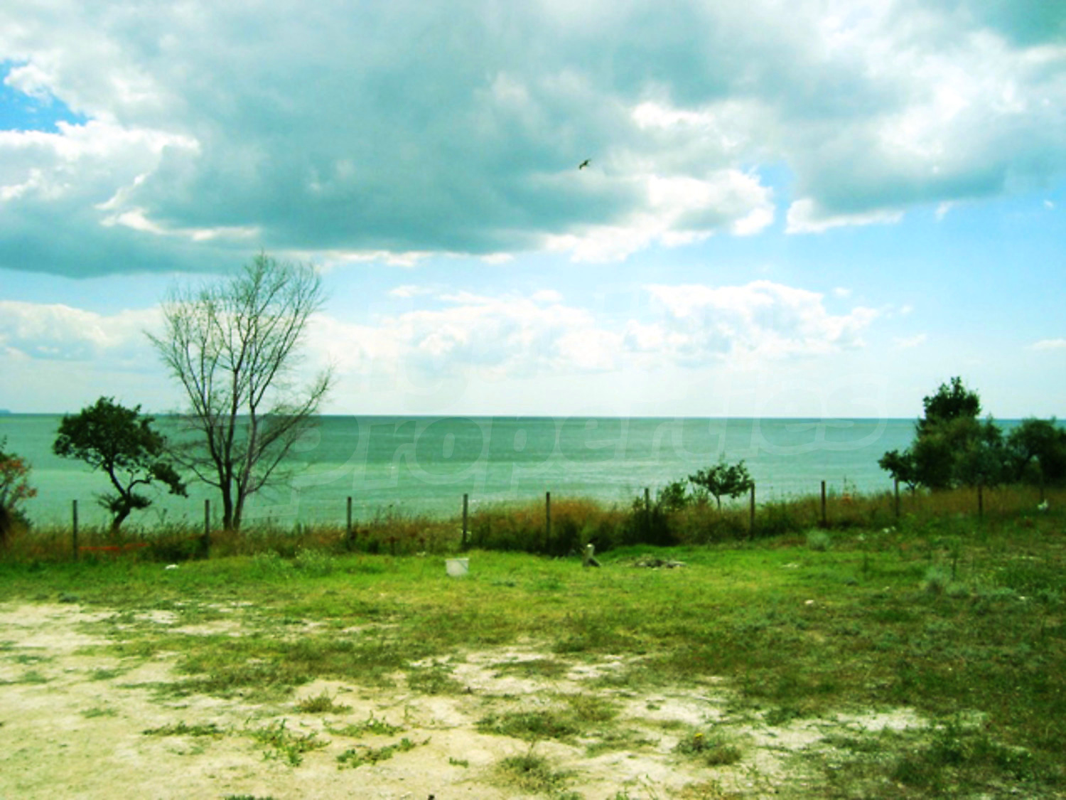 Gallery Picture 10