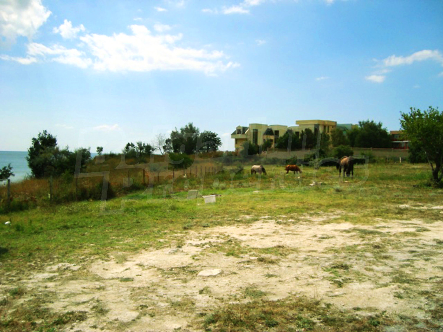 Gallery Picture 11