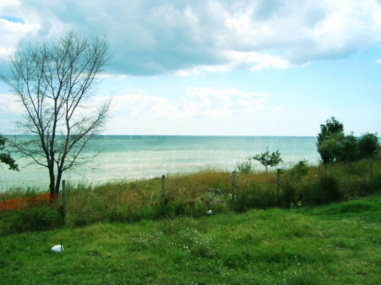 Gallery Picture 15