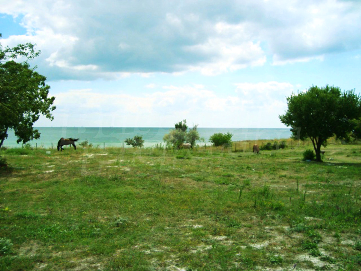 Gallery Picture 7