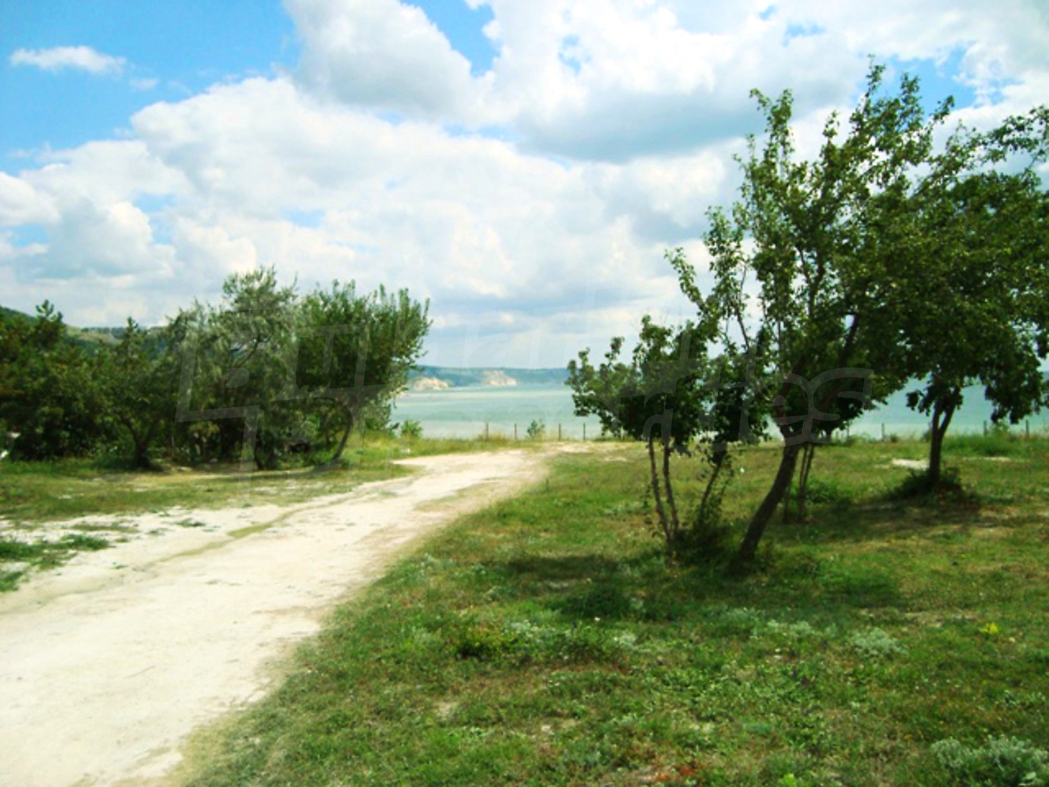 Gallery Picture 8