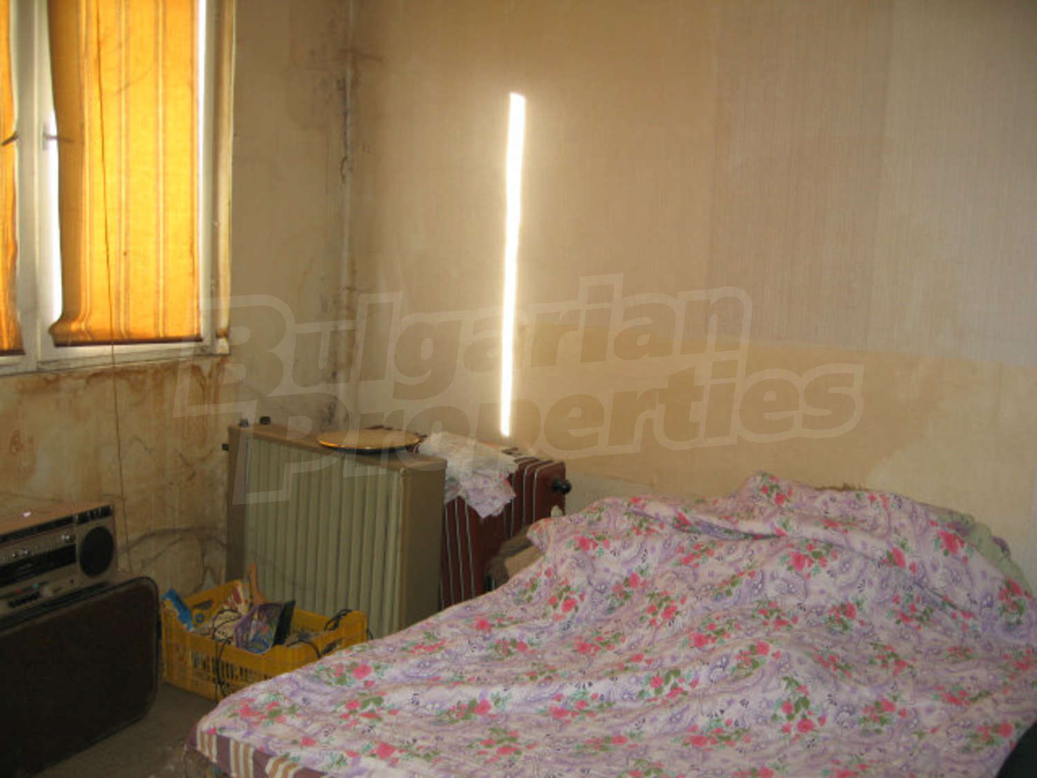 Gallery Picture 13