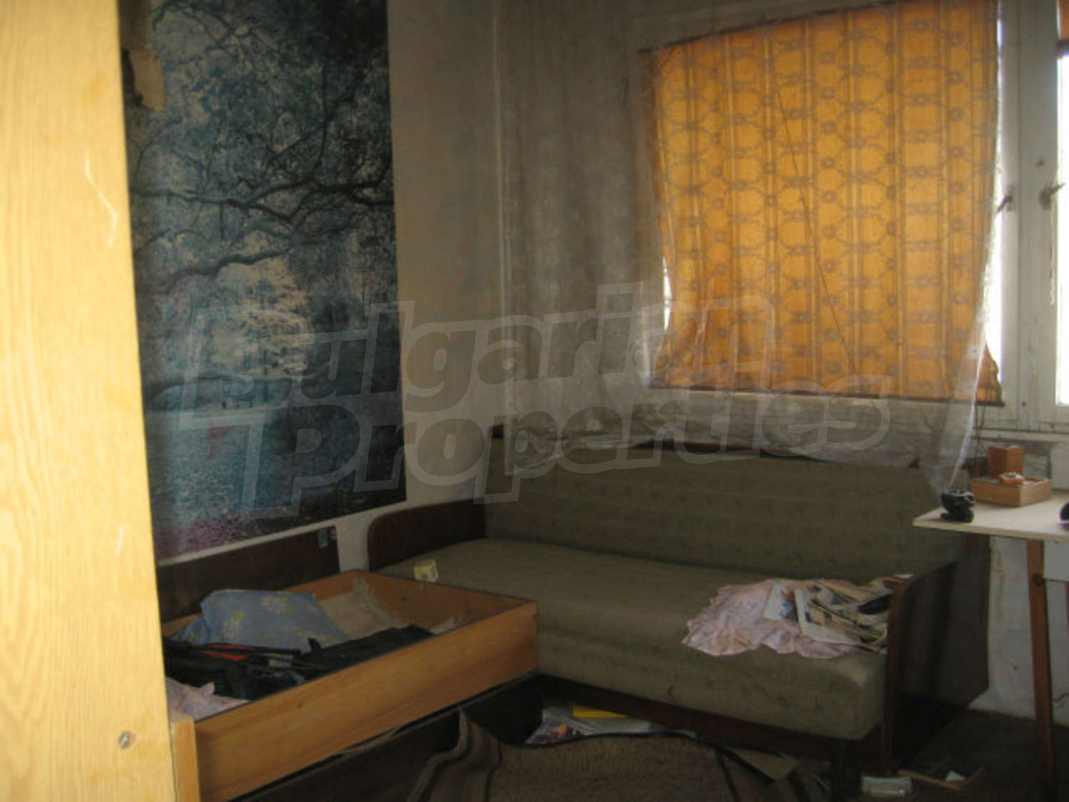 Gallery Picture 16