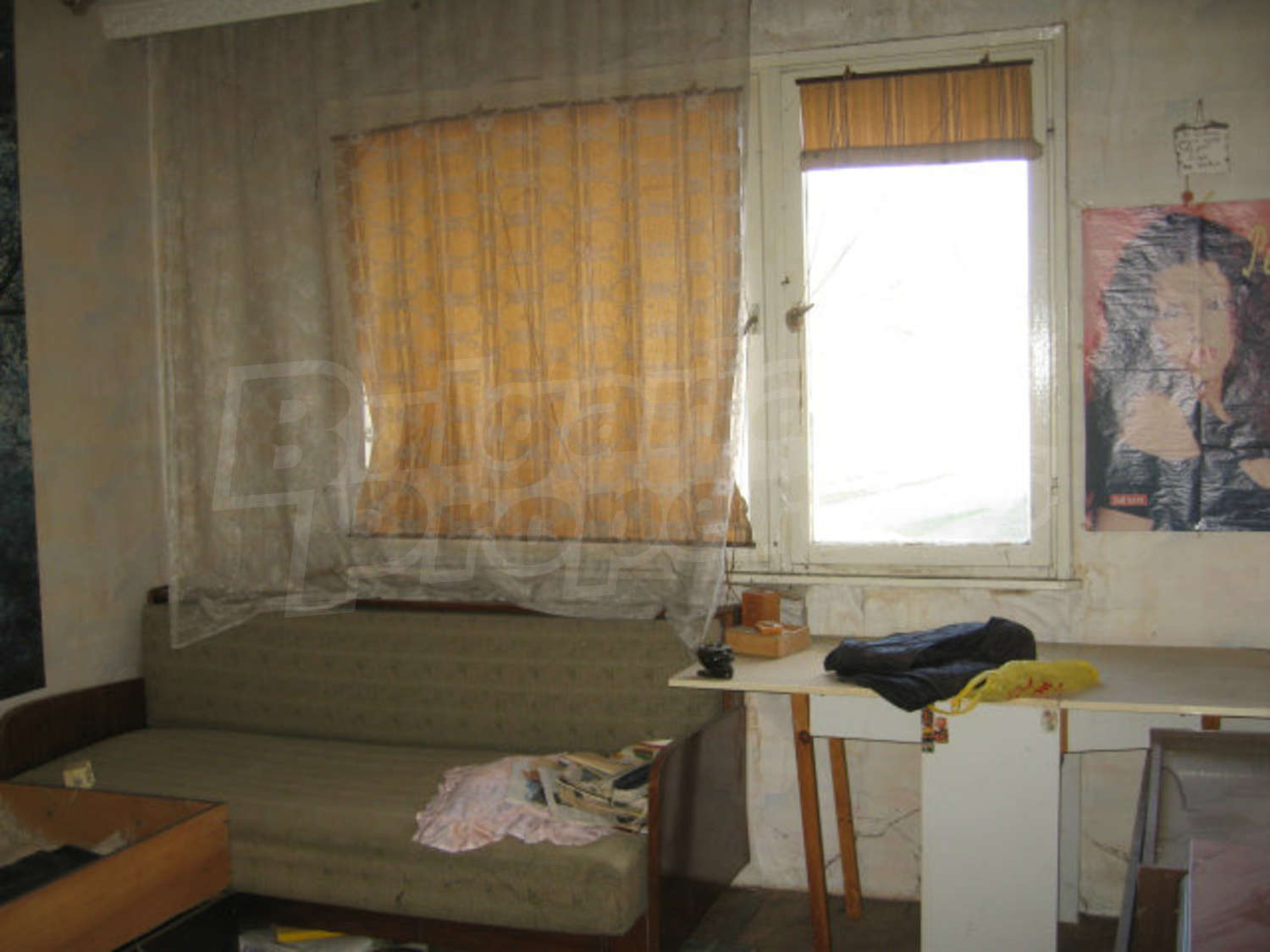 Gallery Picture 17
