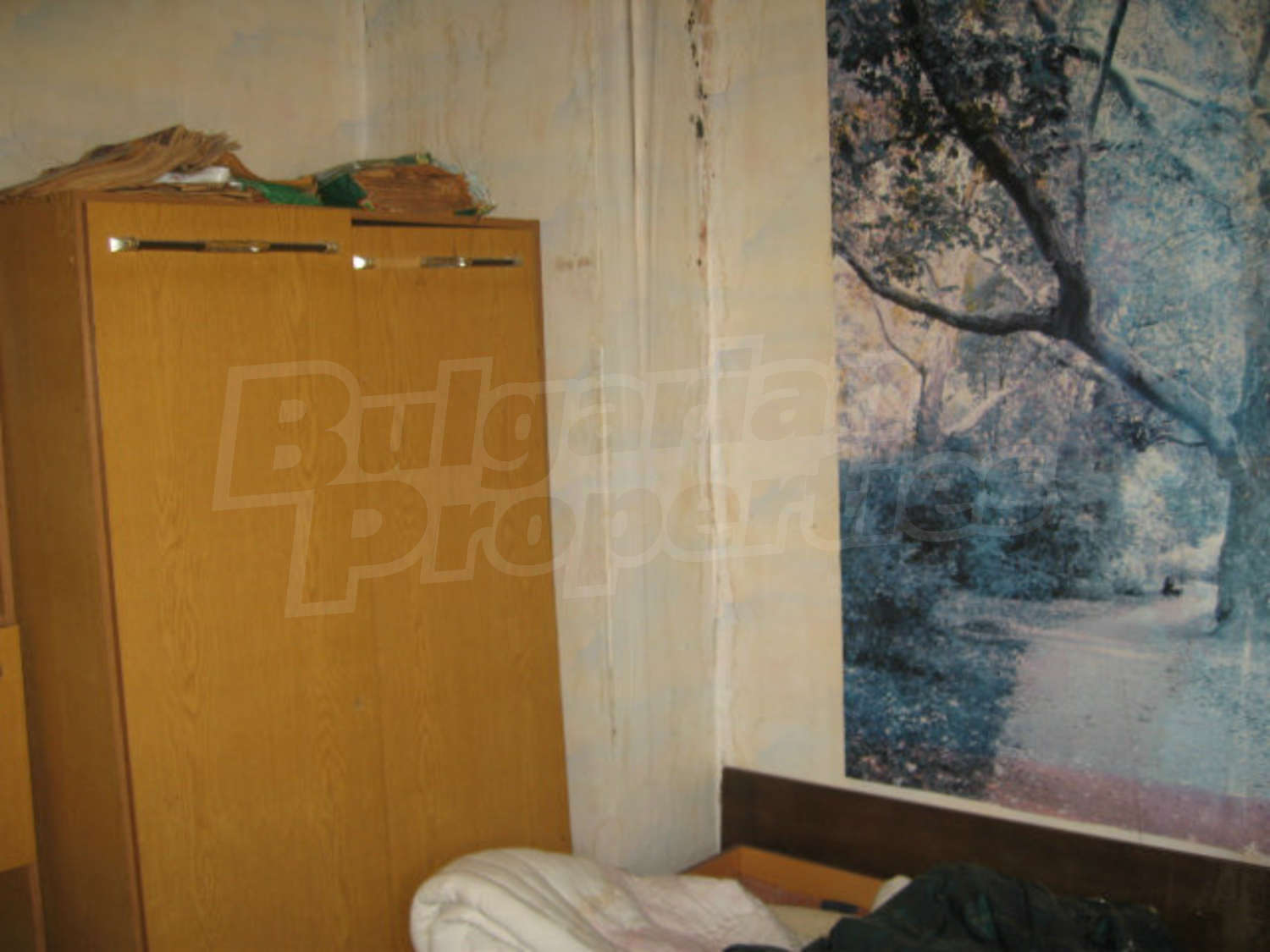 Gallery Picture 18