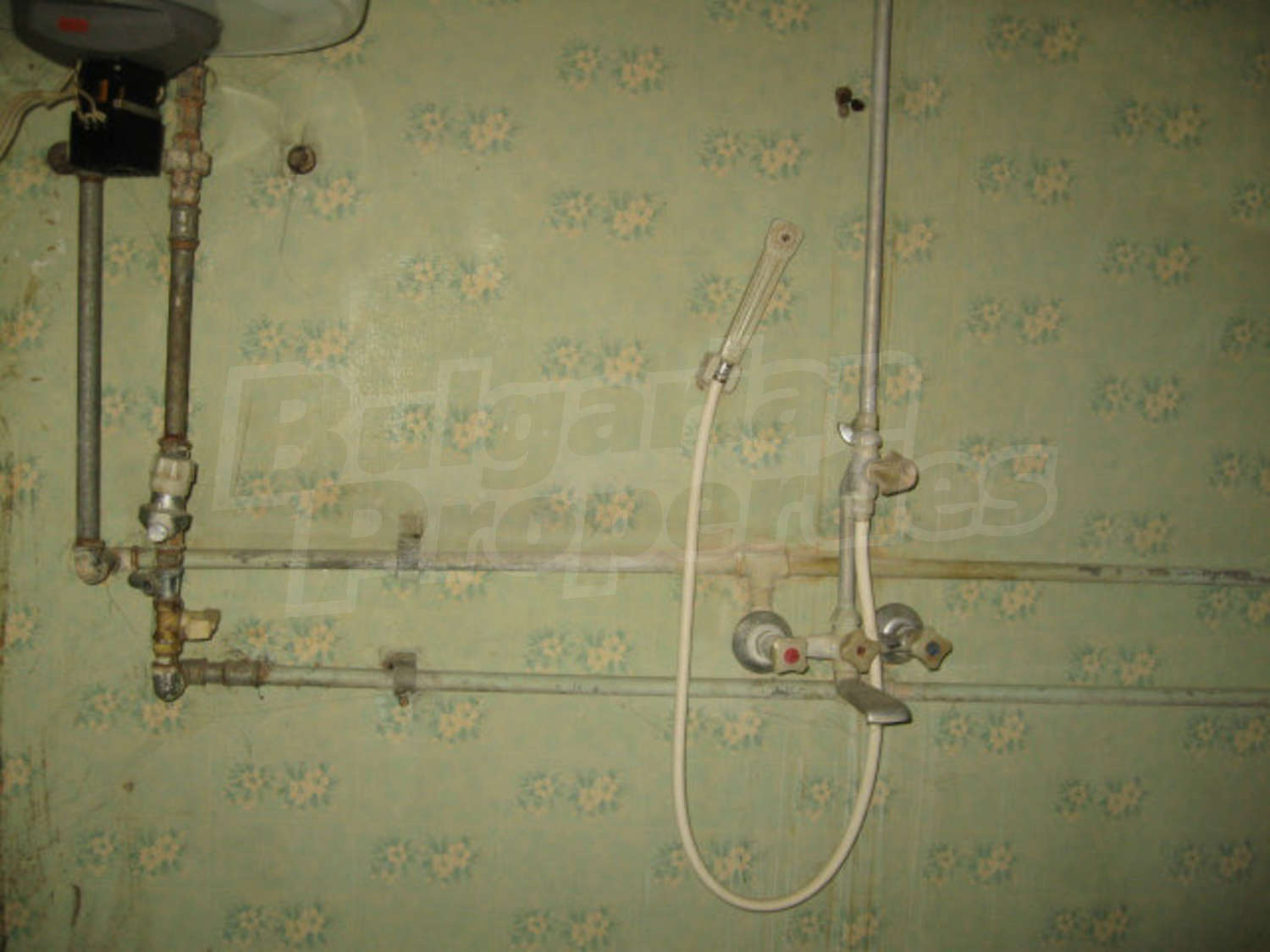 Gallery Picture 21