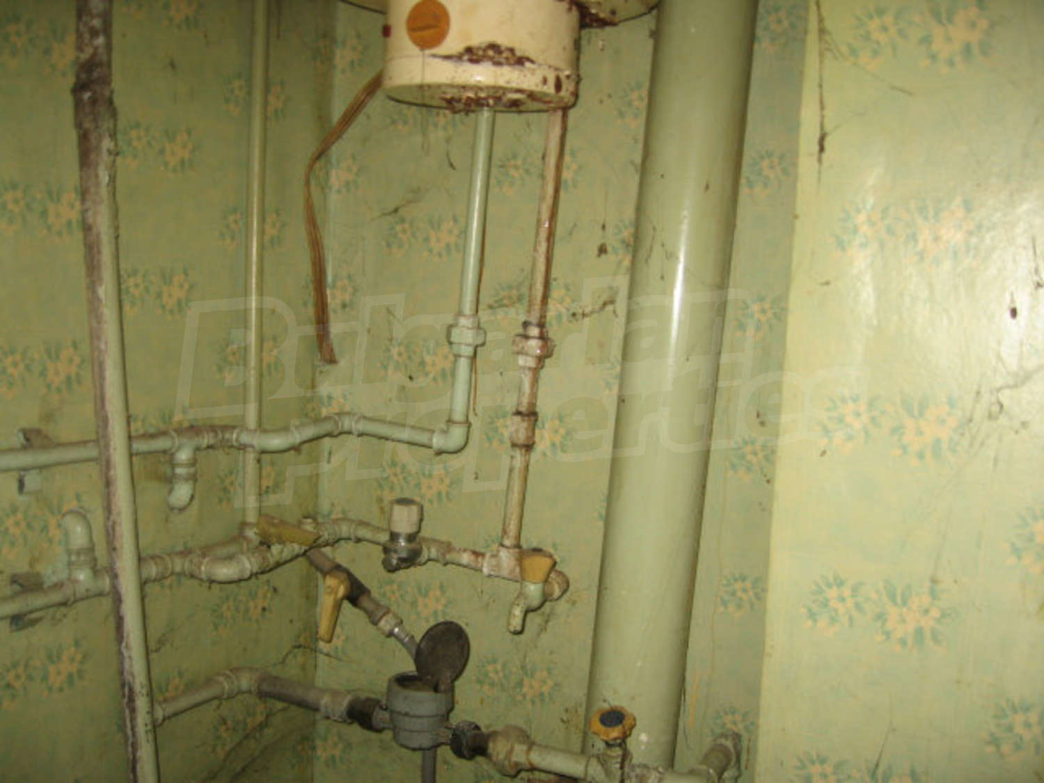 Gallery Picture 23