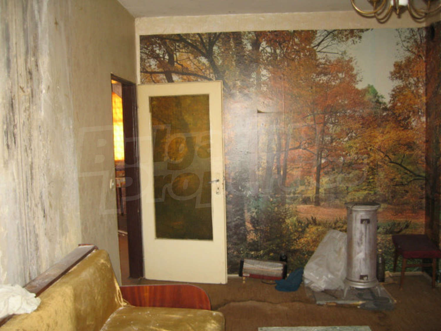 Gallery Picture 6