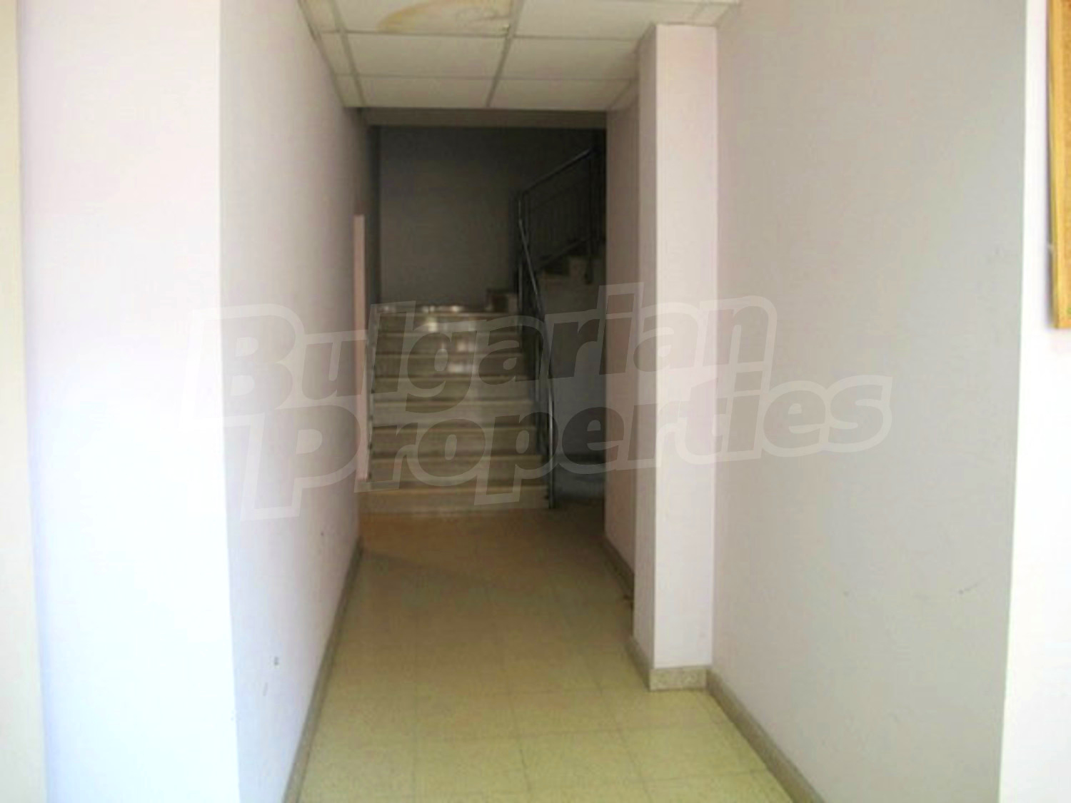 Gallery Picture 30