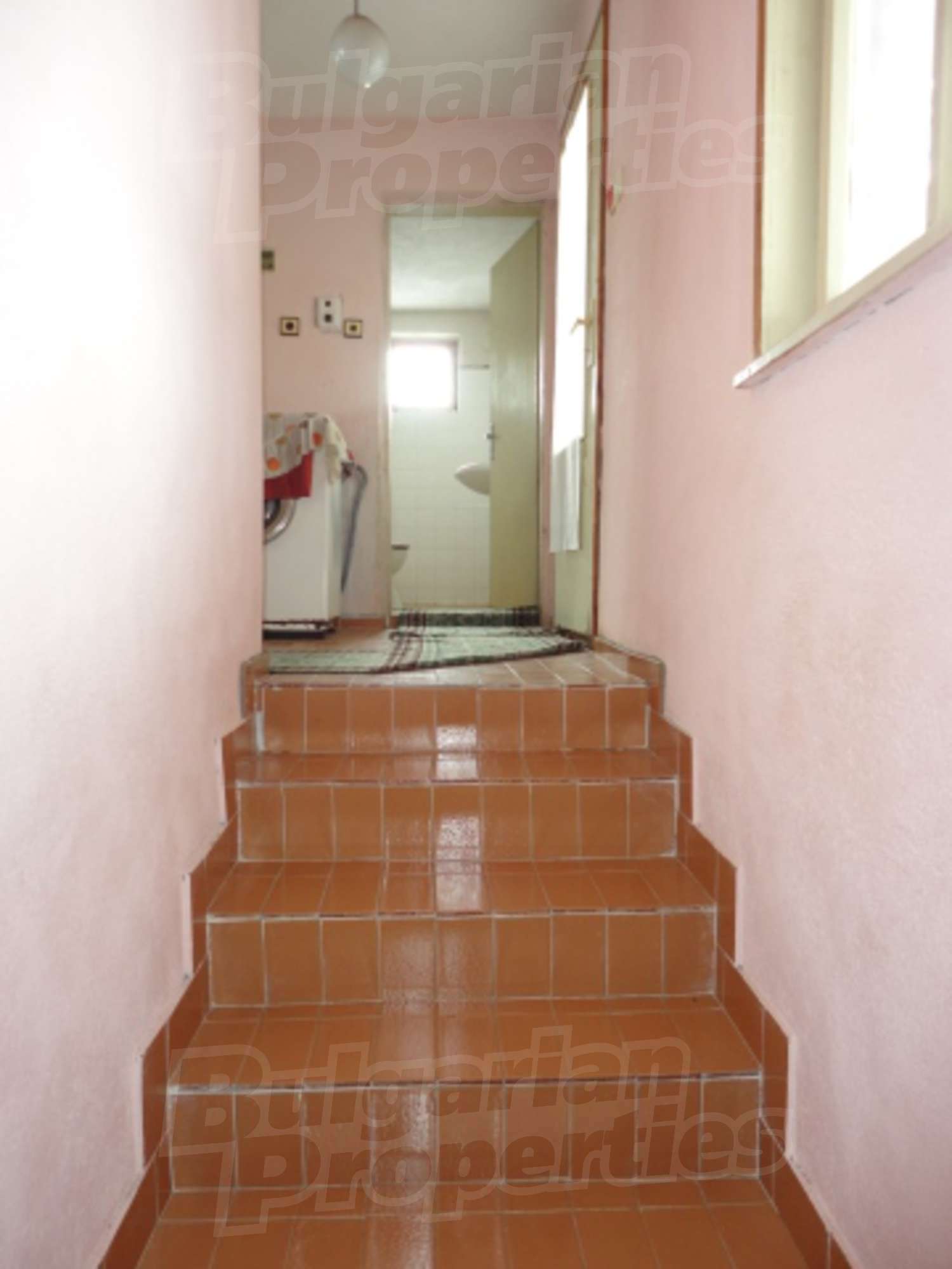 Gallery Picture 15